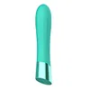 WINYI Supplier OEM ODM Wholesale 2023 new Bullet Vibrator 10 mode G-spot massage clitoral stimulating mini bullet Vibrator adult sex toy  for women couple